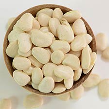Lima Beans - Baby Butter, Dry, Special Order