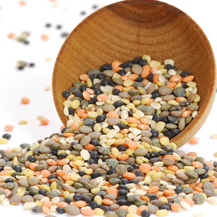 Lentils Autumn Blend, Dry, Special Order