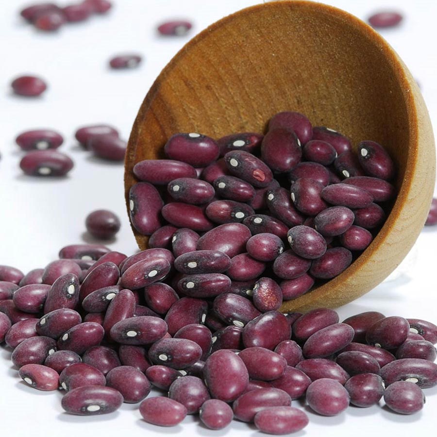 gourmetimports-red-beans-small-dry-special-order