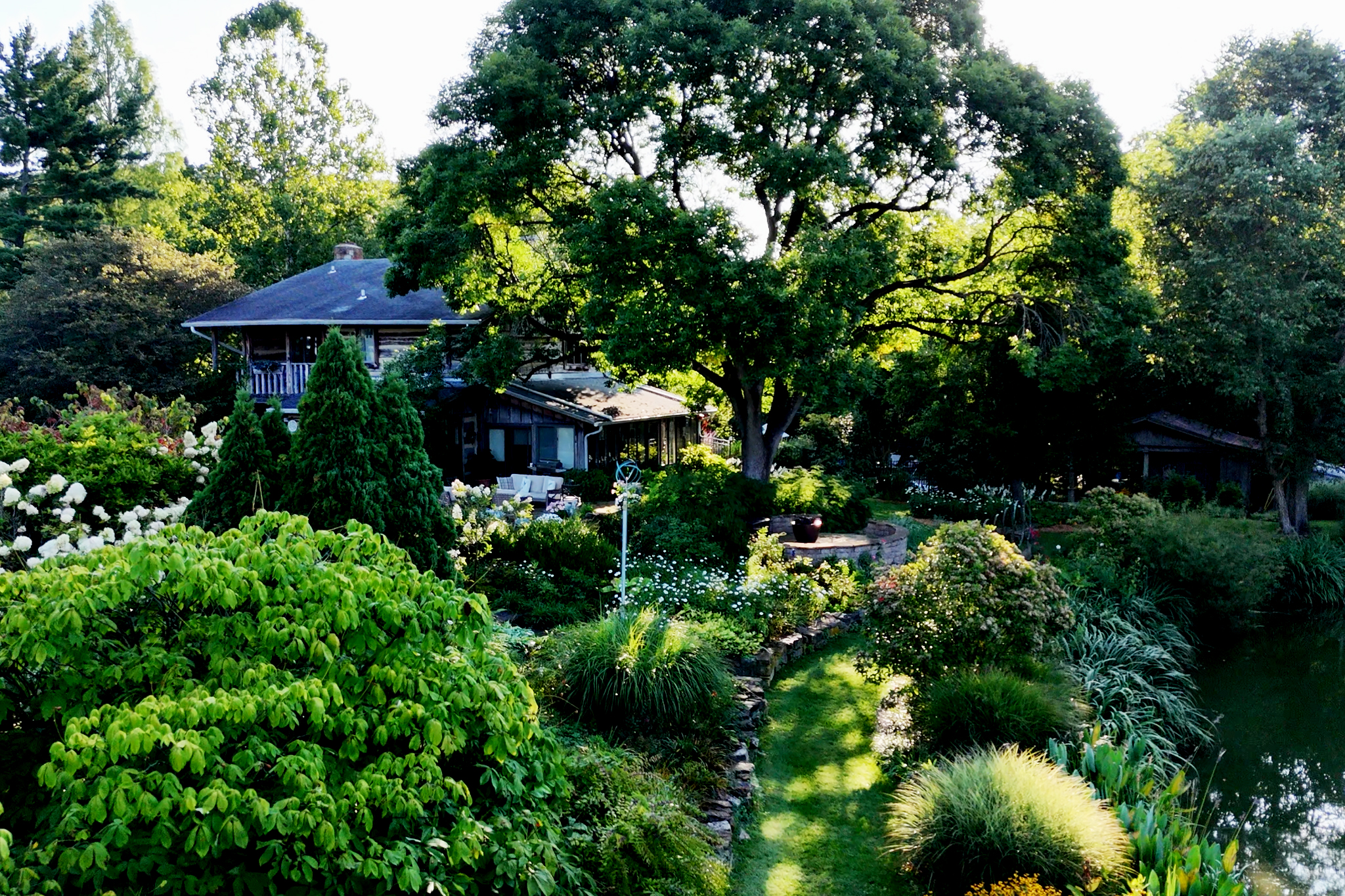 Capriole Goat Cheese