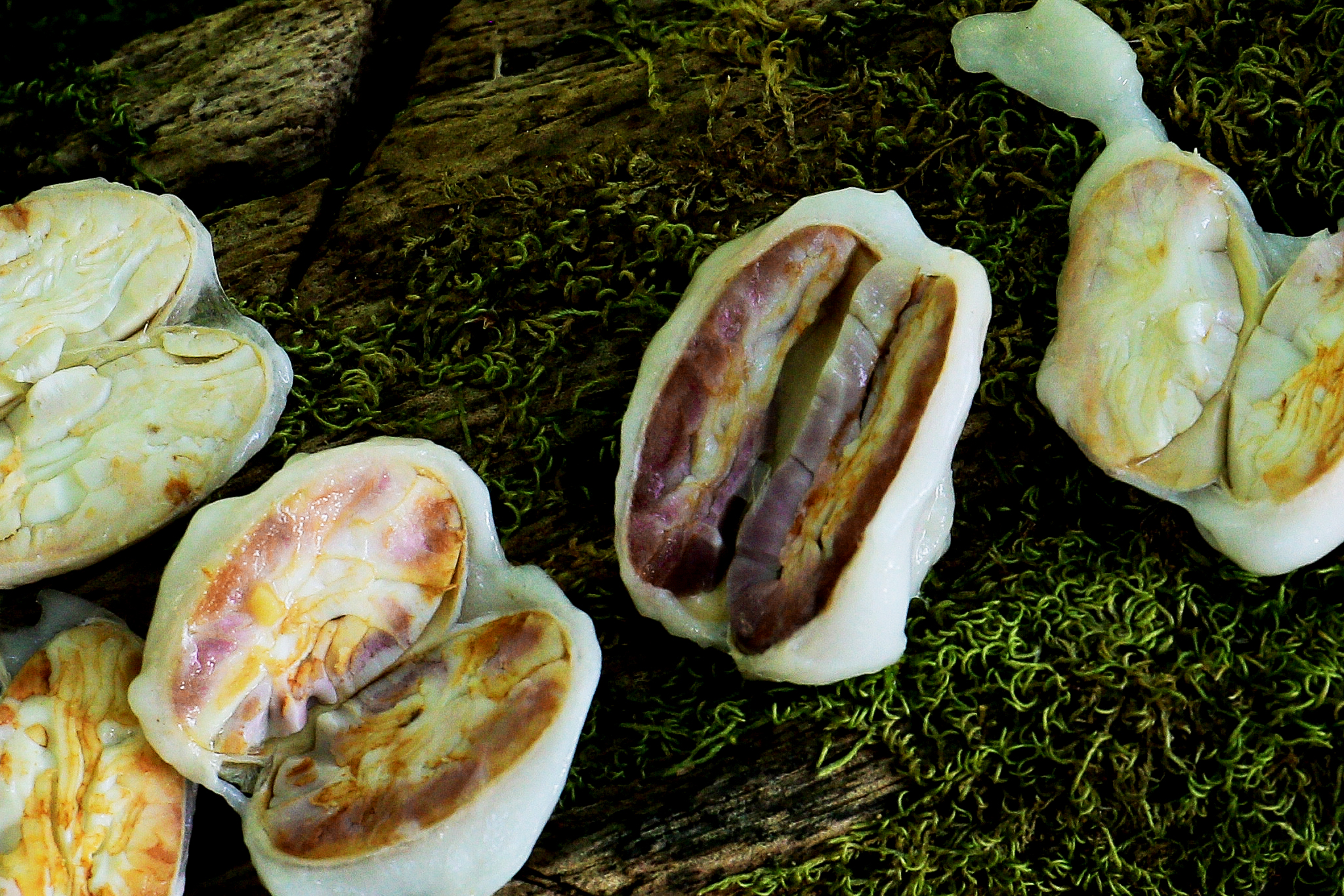 Chocolaterie de l'Opera