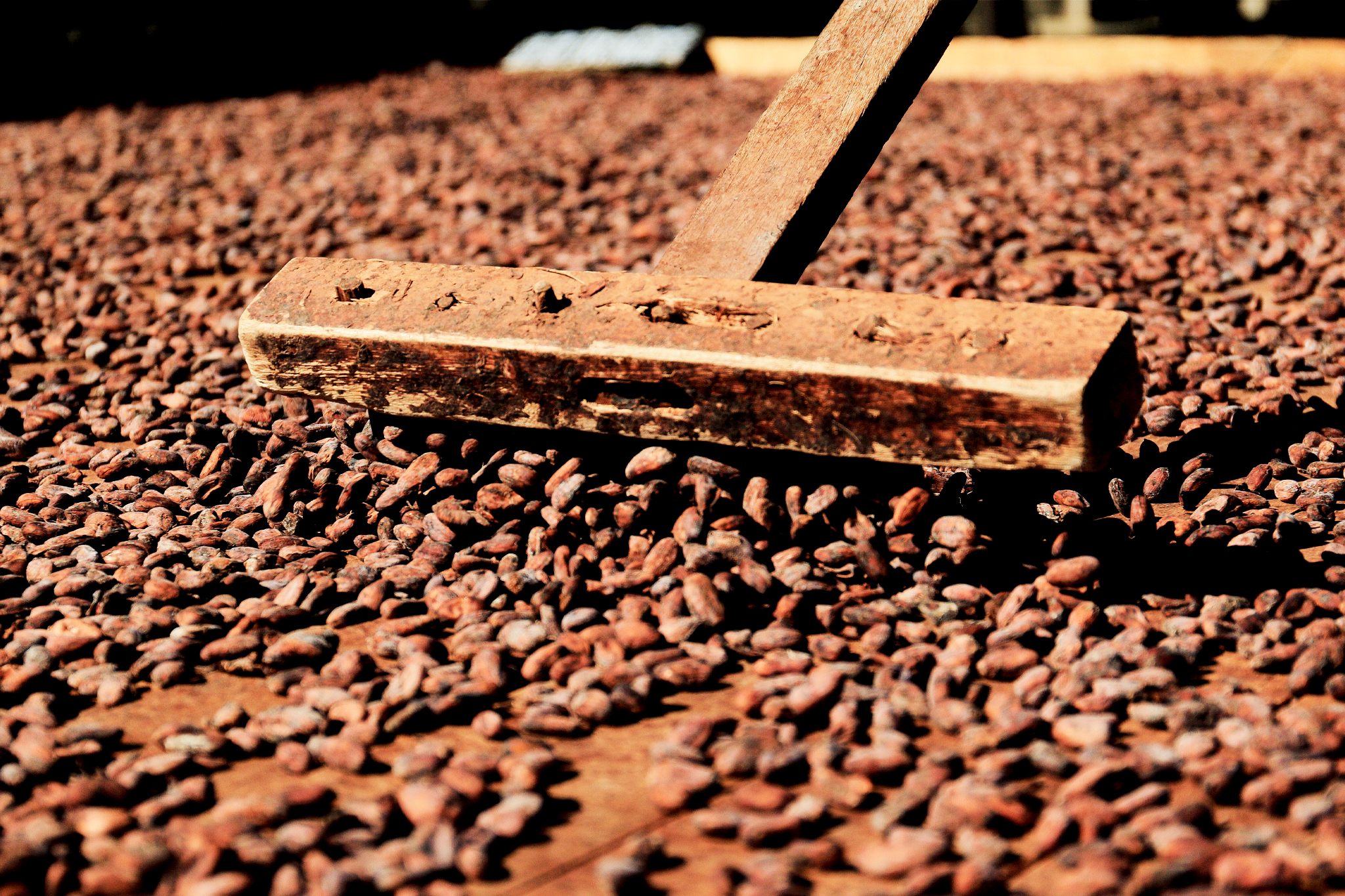 Chocolaterie de l'Opera