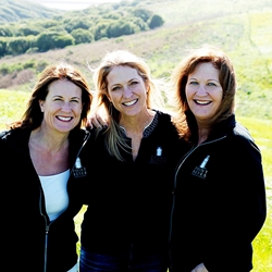 Point Reyes Farmstead Cheese Company