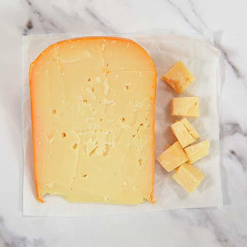 Young Gouda Photo [3]