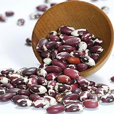 Anasazi Beans - Dry