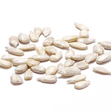 Sunflower Seeds, Raw without shells