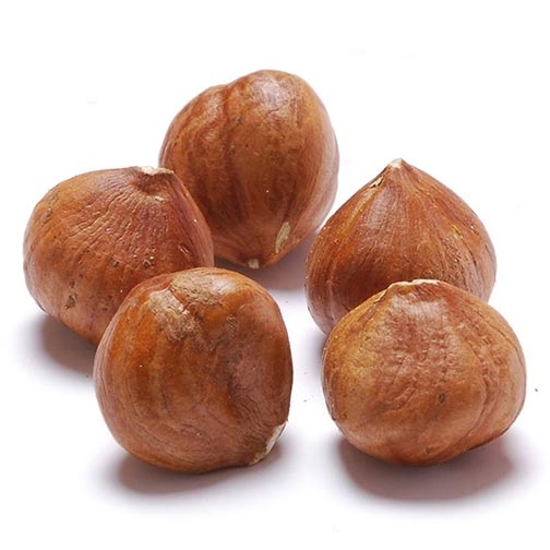 Hazelnuts, Whole (Filberts)