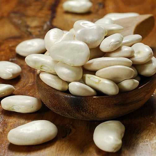 Lima Beans, Giant Peruvian - Dry