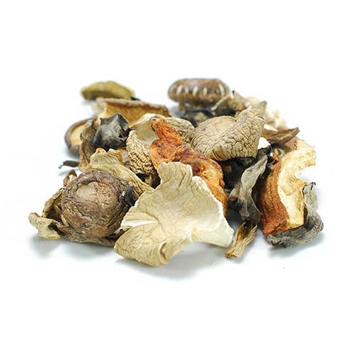 Mixed Wild Pacific Mushrooms - Dried