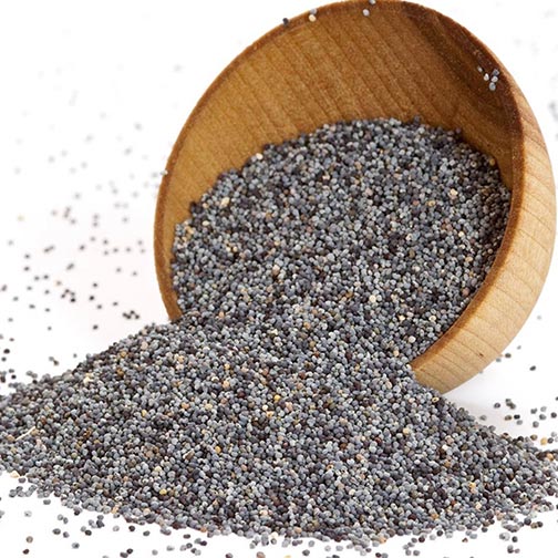 Poppy Seeds - Black