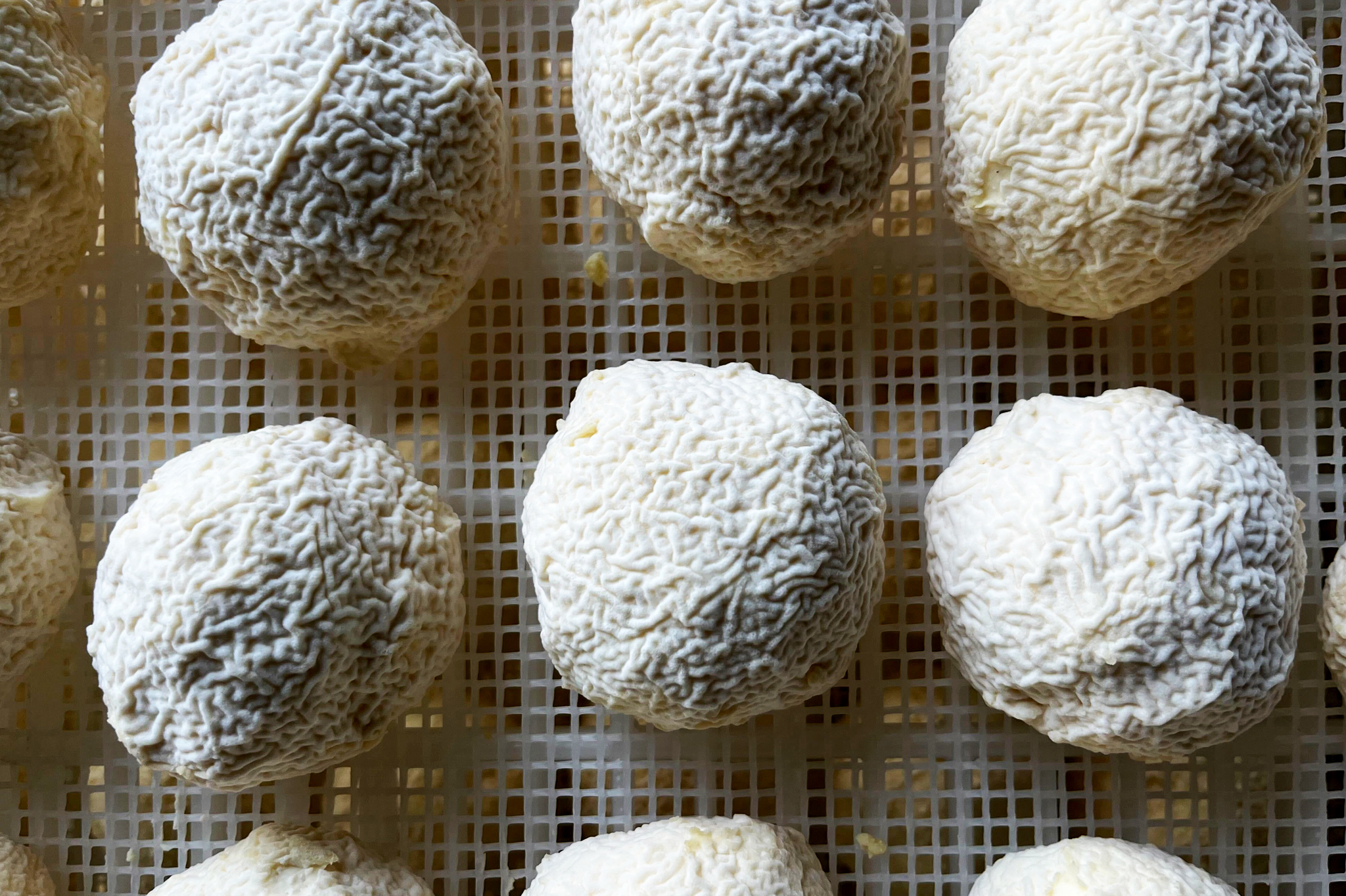 Alemar Cheese Company