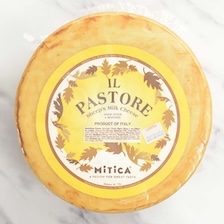 Il Pastore Pecorino