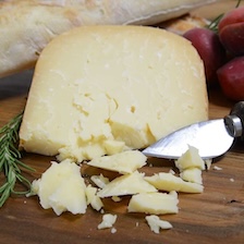 Jake's Aged Gouda