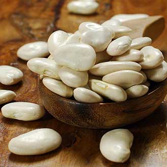 Lima Beans, Giant Peruvian - Dry