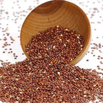Quinoa, Red (Special Order)