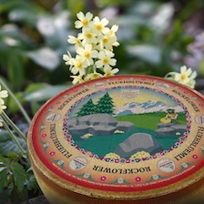 Rockflower - Fluehbluemi