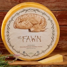 The Fawn