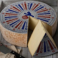 White Label Appenzeller, 3 months