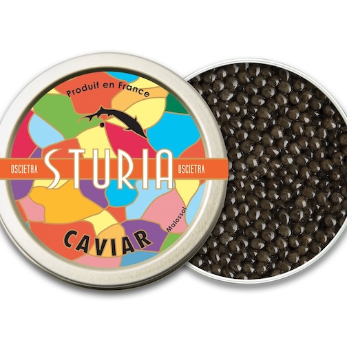 Caviar Sturia Oscietra - Acipenser Gueldenstaedtii Photo [1]