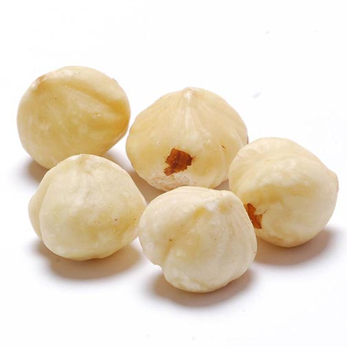 Blanched Shelled Hazelnuts / Filberts - Whole (No Skin) Photo [1]