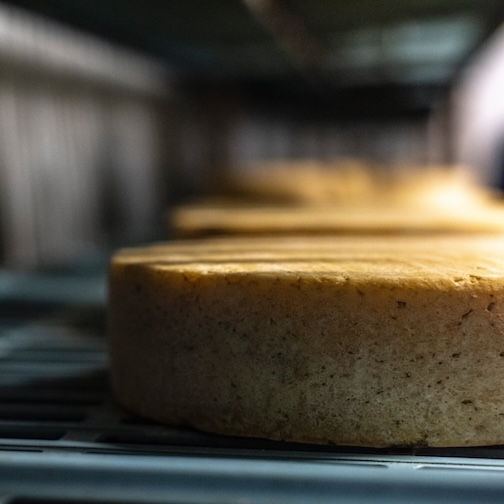 Mt Toro Tomme (Special Order) Photo [1]