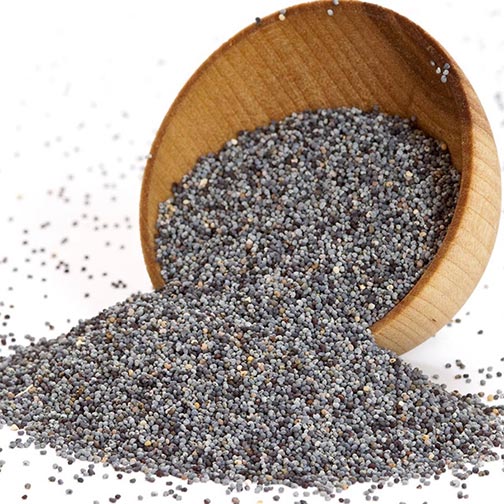Poppy Seeds, Black Photo [1]