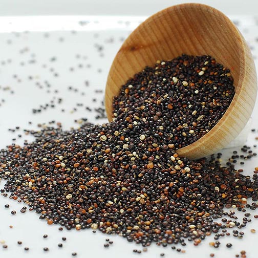 Quinoa, Black Photo [1]